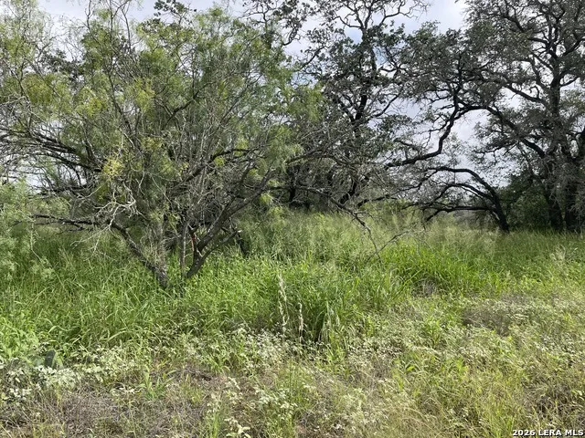 TRACT#8 12.31A County Road 777 Devine, TX 78016