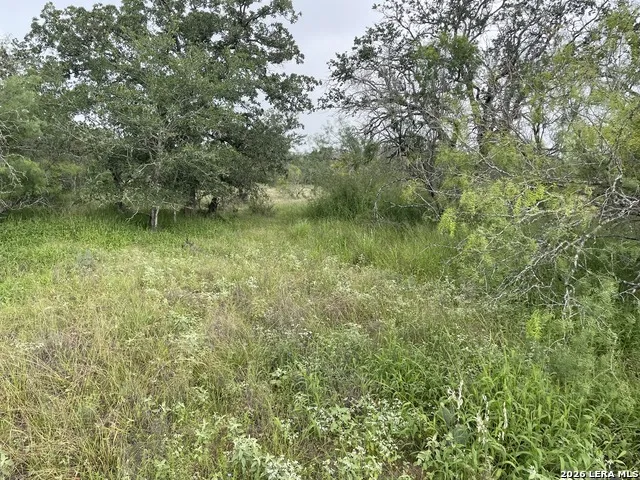 TRACT#8 12.31A County Road 777 Devine, TX 78016