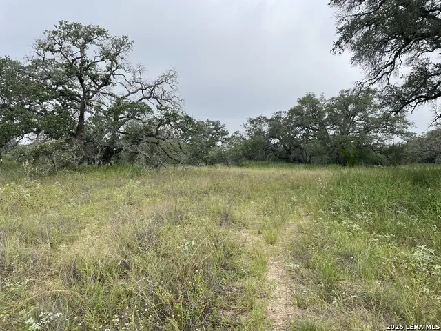 TRACT#8 12.31A County Road 777 Devine, TX 78016