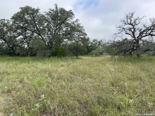 TRACT#8 12.31A County Road 777 Devine, TX 78016
