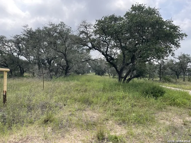TRACT#8 12.31A County Road 777 Devine, TX 78016