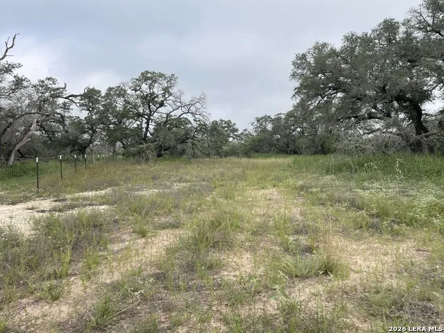 TRACT#8 12.31A County Road 777 Devine, TX 78016