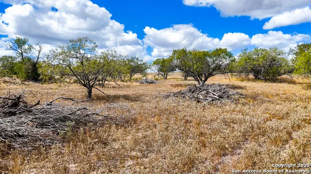 728 CR 315 Stockdale, TX 78160