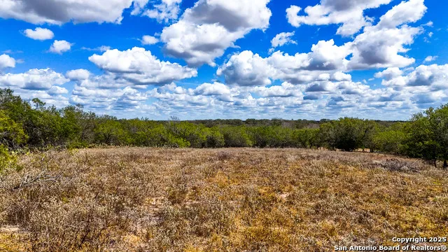 728 CR 315 Stockdale, TX 78160