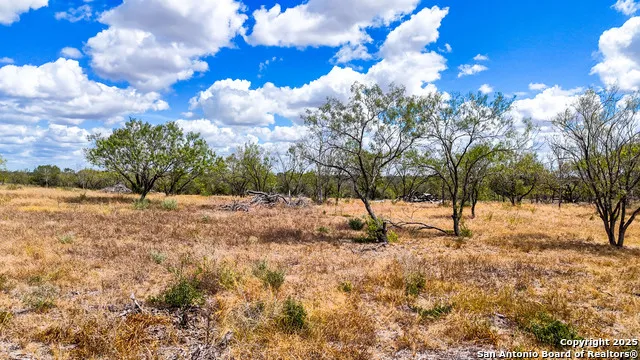728 CR 315 Stockdale, TX 78160