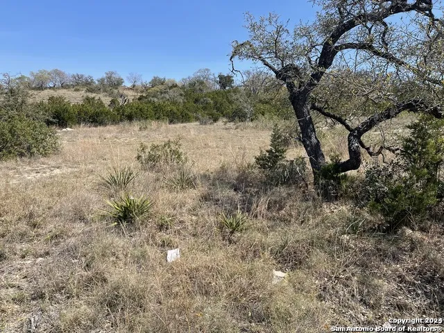 23111 NORFOLK CYN San Antonio, TX 78255
