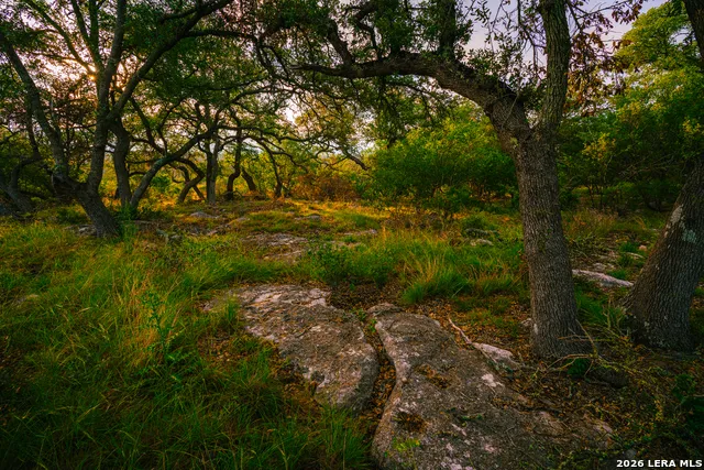 000 Rambling Oaks Ranch Spring Branch, TX 78070