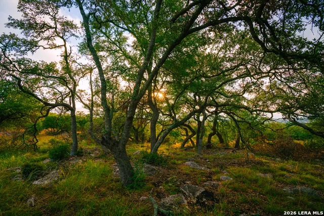 000 Rambling Oaks Ranch Spring Branch, TX 78070