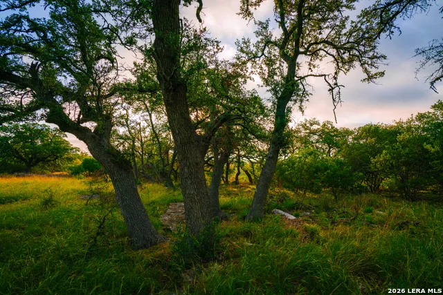 000 Rambling Oaks Ranch Spring Branch, TX 78070