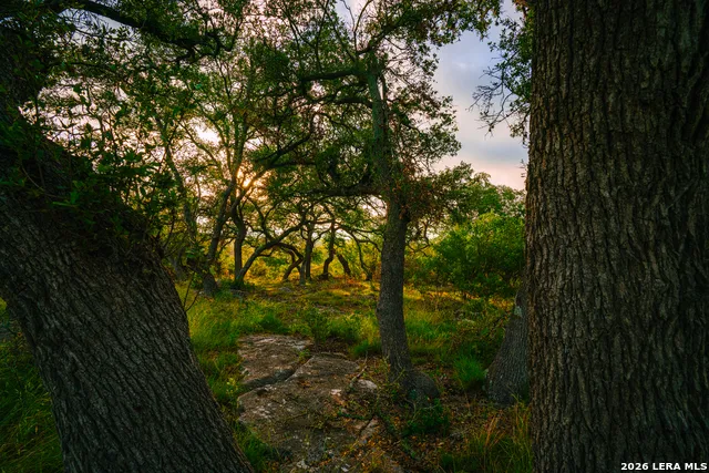 000 Rambling Oaks Ranch Spring Branch, TX 78070