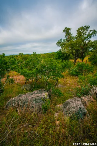 000 Rambling Oaks Ranch Spring Branch, TX 78070