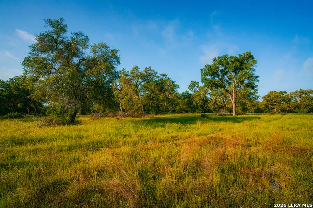000 Rambling Oaks Ranch Spring Branch, TX 78070