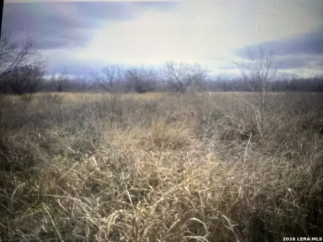 332 Private Road 6632 Devine, TX 78016