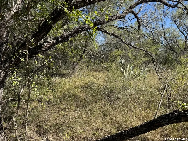 220 PRIVATE ROAD 2355 Uvalde, TX 78801