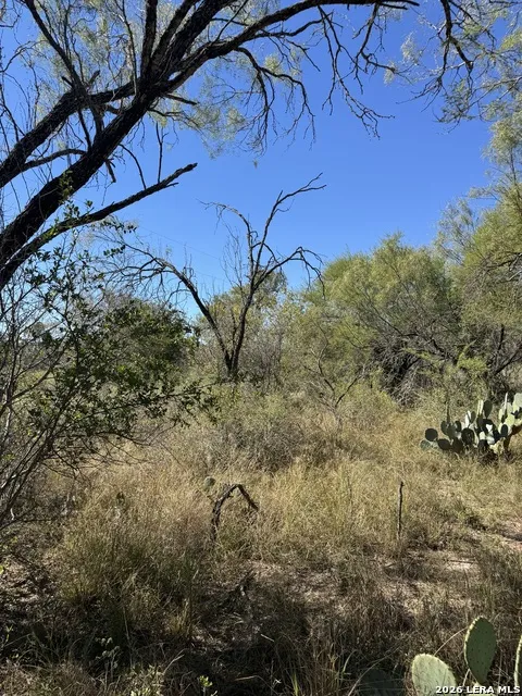 220 PRIVATE ROAD 2355 Uvalde, TX 78801