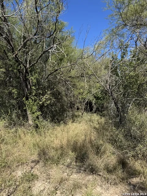 220 PRIVATE ROAD 2355 Uvalde, TX 78801