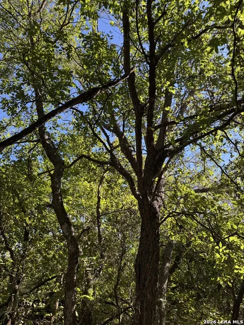 220 PRIVATE ROAD 2355 Uvalde, TX 78801