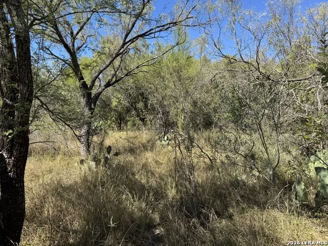 220 PRIVATE ROAD 2355 Uvalde, TX 78801