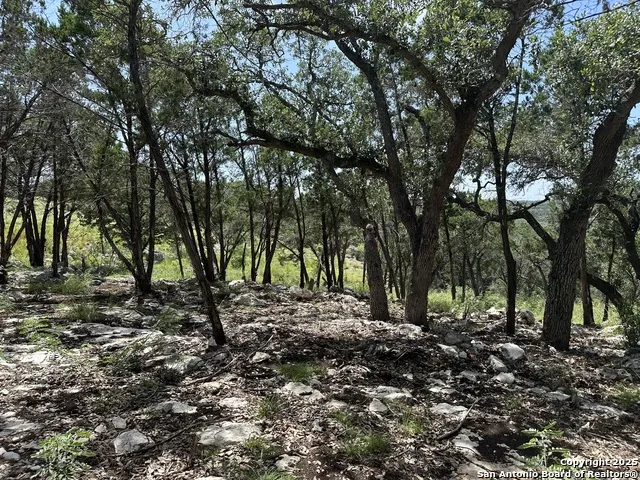 27903 Storm Vw San Antonio, TX 78266