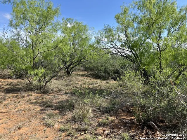 0 Carroll Road Dilley, TX 78017