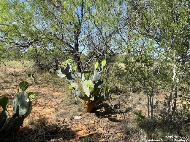 0 Carroll Road Dilley, TX 78017