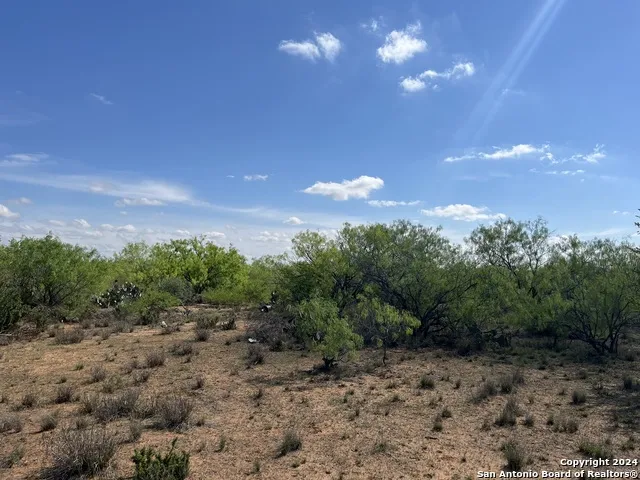 0 Carroll Road Dilley, TX 78017