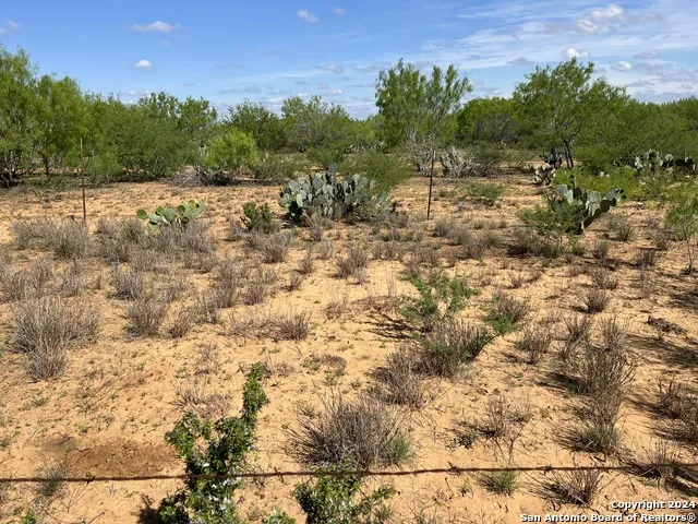0 Carroll Road Dilley, TX 78017