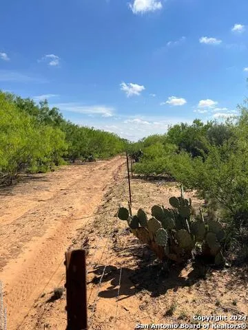0 Carroll Road Dilley, TX 78017