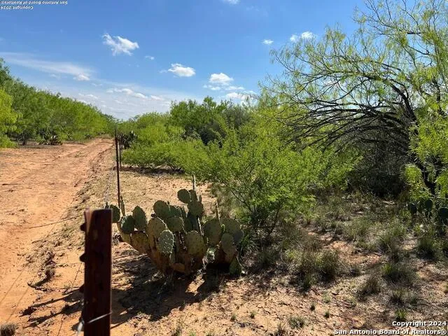 0 Carroll Road Dilley, TX 78017