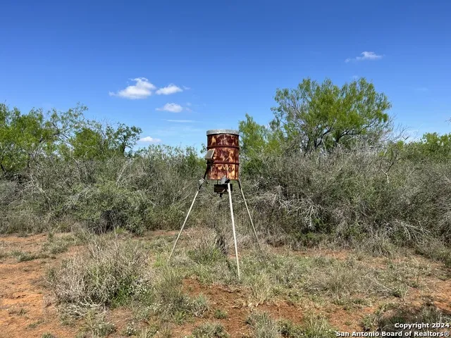 0 Carroll Road Dilley, TX 78017