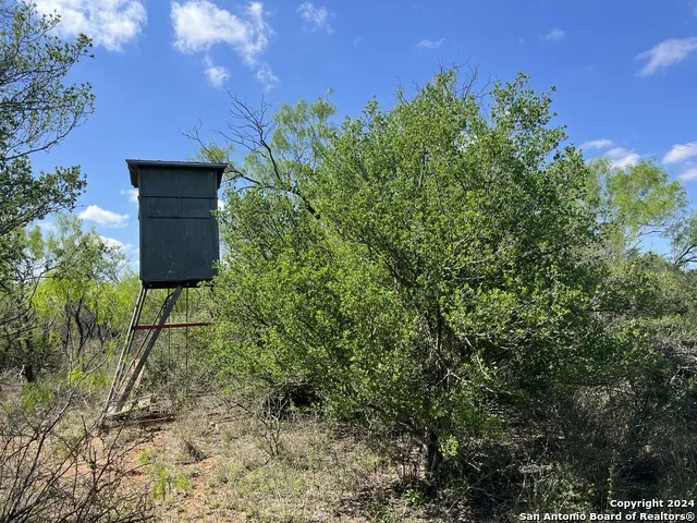 0 Carroll Road Dilley, TX 78017