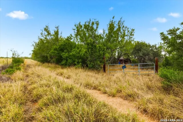 0 Carroll Road Dilley, TX 78017