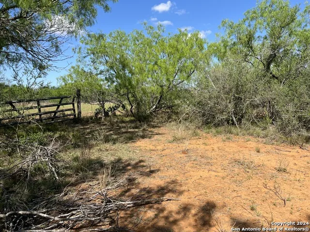 0 Carroll Road Dilley, TX 78017