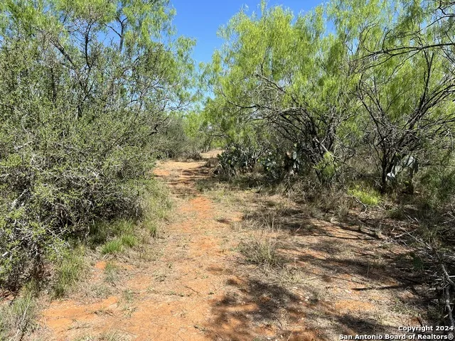 0 Carroll Road Dilley, TX 78017