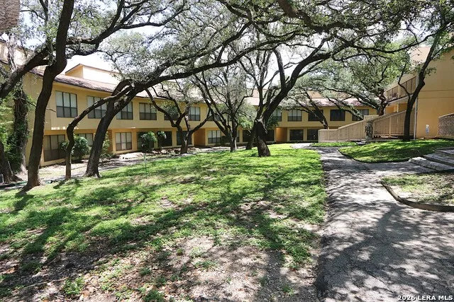 8642 fredericksburg Unit 406 San Antonio, TX 78240