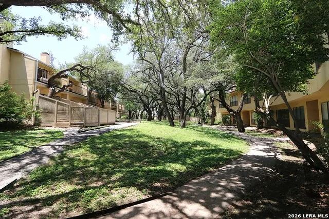 8642 fredericksburg Unit 406 San Antonio, TX 78240