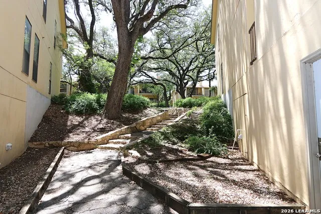 8642 fredericksburg Unit 406 San Antonio, TX 78240