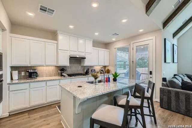10710 SALEH COR San Antonio, TX 78224