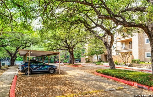 4119 Medical Dr. Unit 307C San Antonio, TX 78229