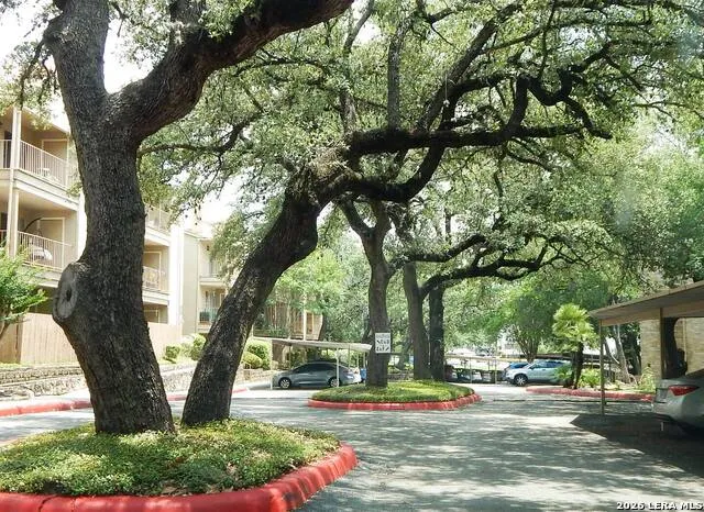 4119 Medical Dr. Unit 307C San Antonio, TX 78229
