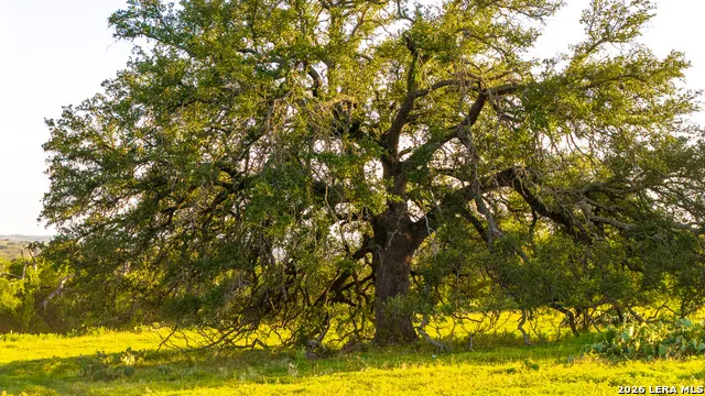 552+/- ACRES Robinson Rd Johnson City, TX 78636