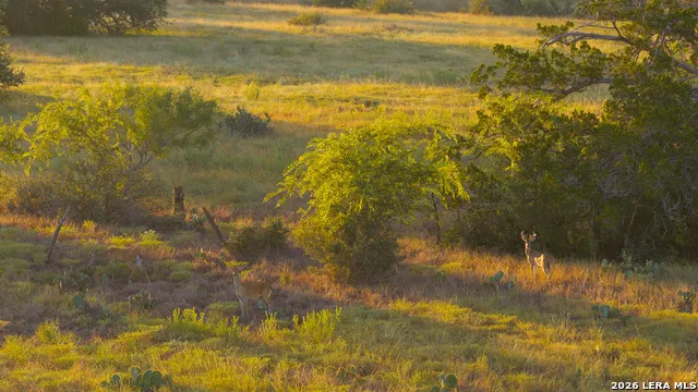 552+/- ACRES Robinson Rd Johnson City, TX 78636