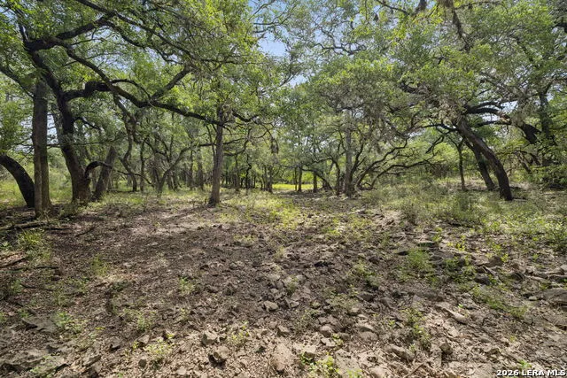532 COUNTY ROAD 3401 Hondo, TX 78861