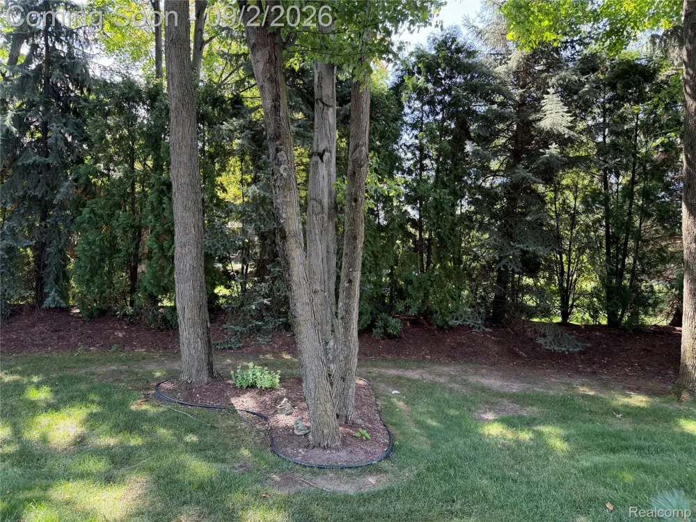 13046 Partridge Run Shelby Charter Township, MI 48315
