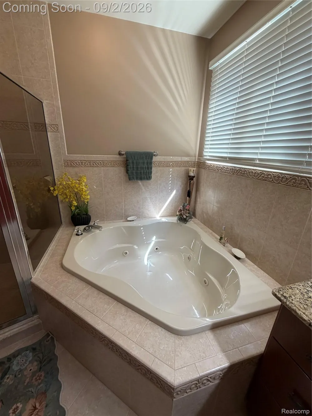13046 Partridge Run Shelby Charter Township, MI 48315