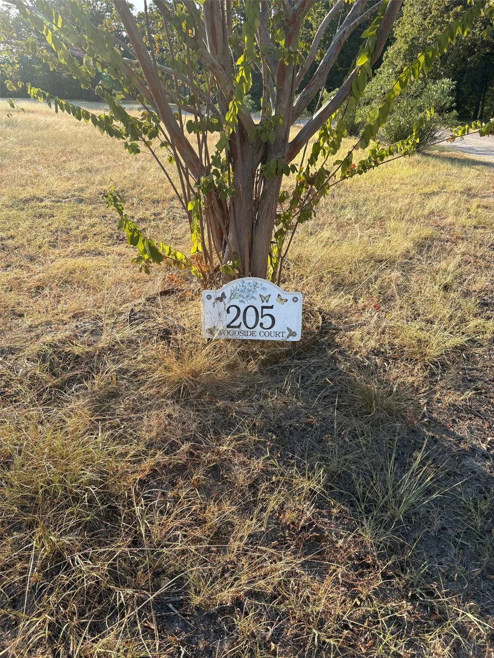 205 Woodside Court Corsicana, TX 75109