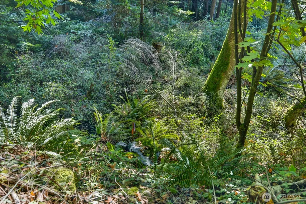 0 NHN Woody Lane W Anacortes, WA 98221