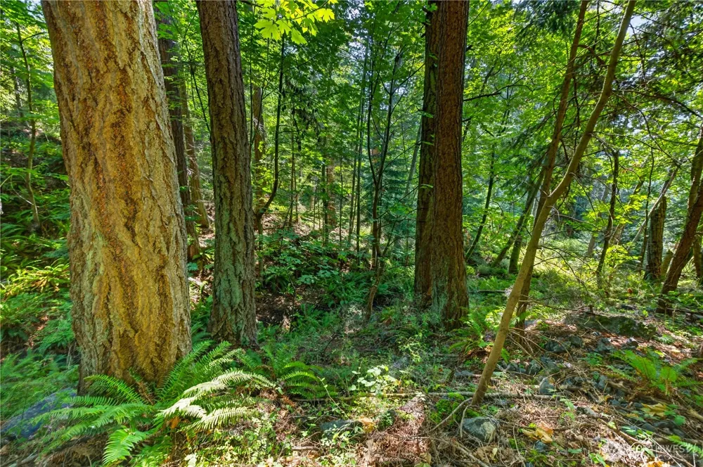 0 NHN Woody Lane W Anacortes, WA 98221