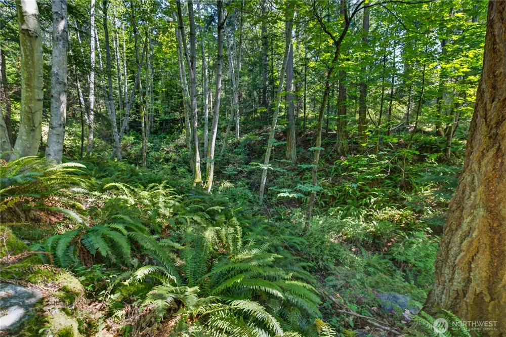 0 NHN Woody Lane W Anacortes, WA 98221