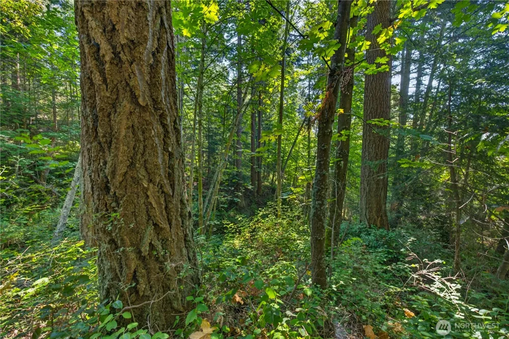 0 NHN Woody Lane W Anacortes, WA 98221